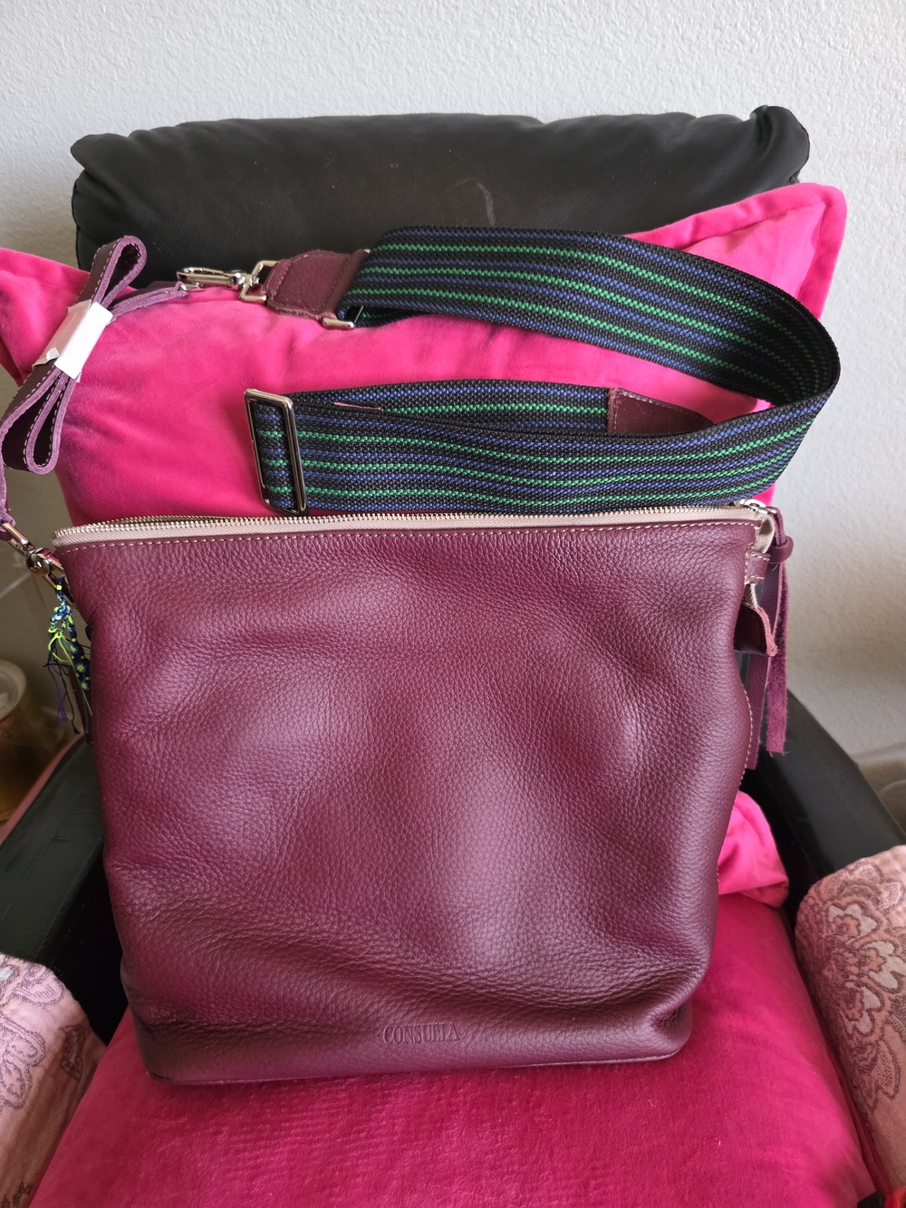Consuela Plum Hobo
